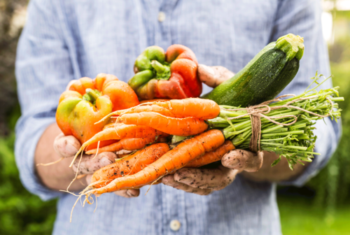 Delicious Recipes Using Fresh Spring Vegetables