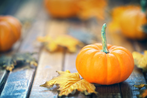 Sweet & Savory Pumpkin Recipes For Fall