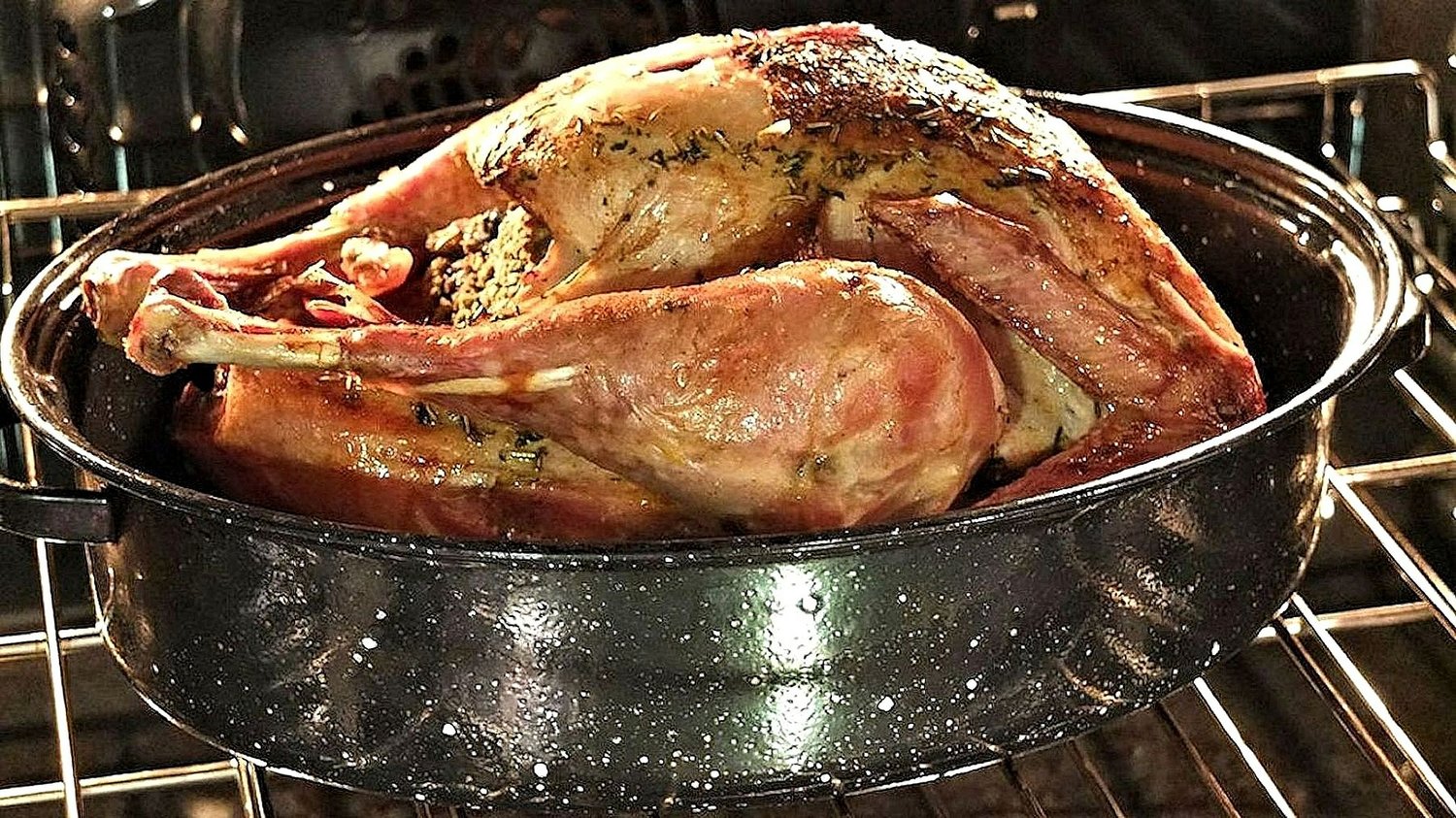 Turkey Talk: Tips For Choosing Your Thanksgiving Turkey