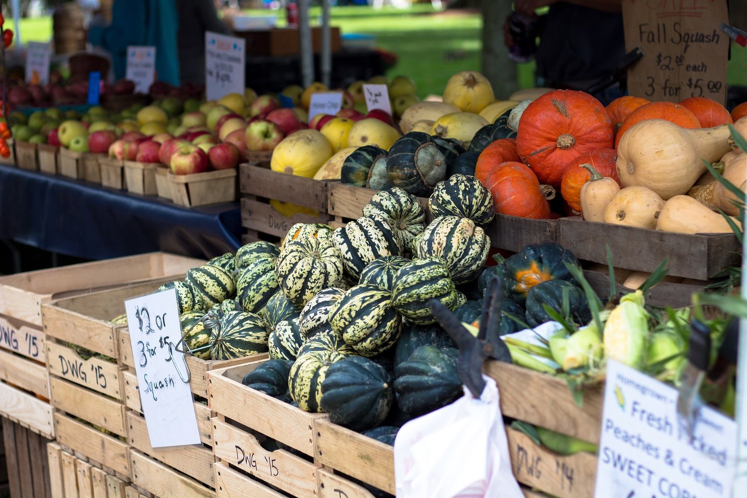 Calling All Fall Vegetables