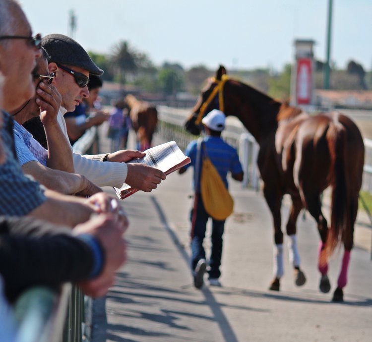 Recipes for Your Own Preakness Party